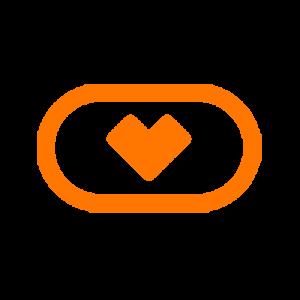 VirtualRealAmateur logo