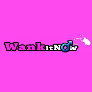 WankitNowVR logo